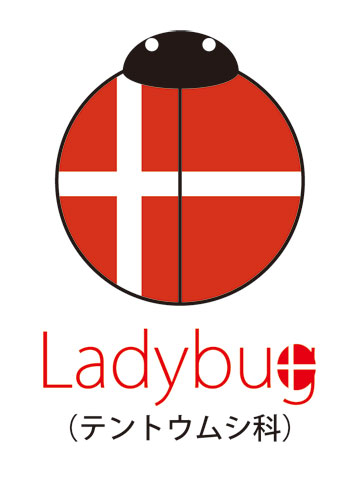 lady bug